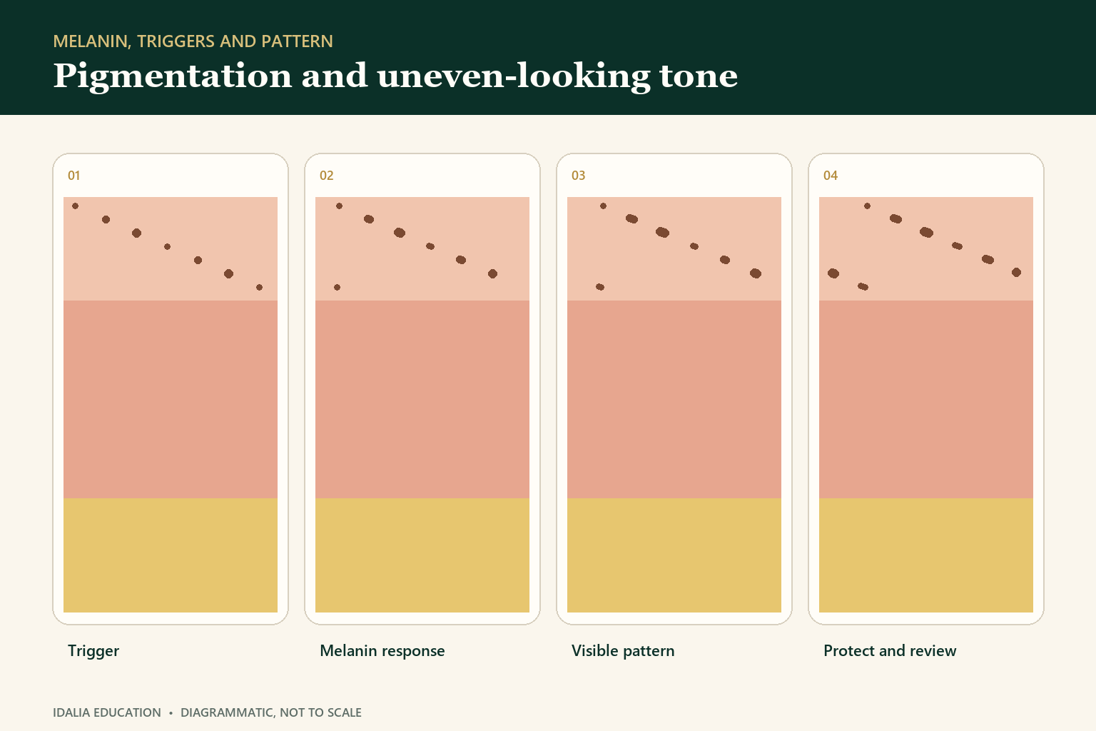 Four-part Idalia educational diagram explaining pigmentation and uneven-looking tone